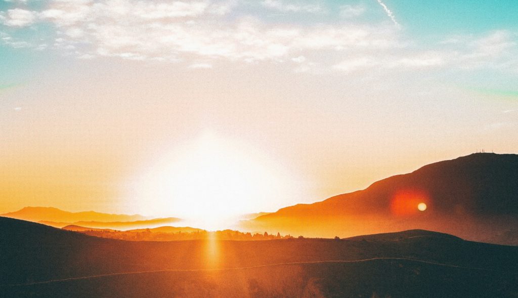 ☀️ ÉTÉ 2025 – Cultiver la Joie et Préparer l’Hiver