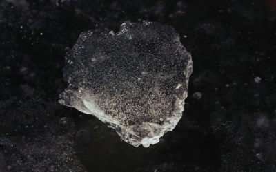 Magnésium : Bienfaits, Types, Lien avec la Vitamine D et Pourquoi Faire une Cure